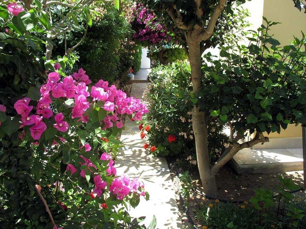 Rododafni Villas Klorakas Exterior photo
