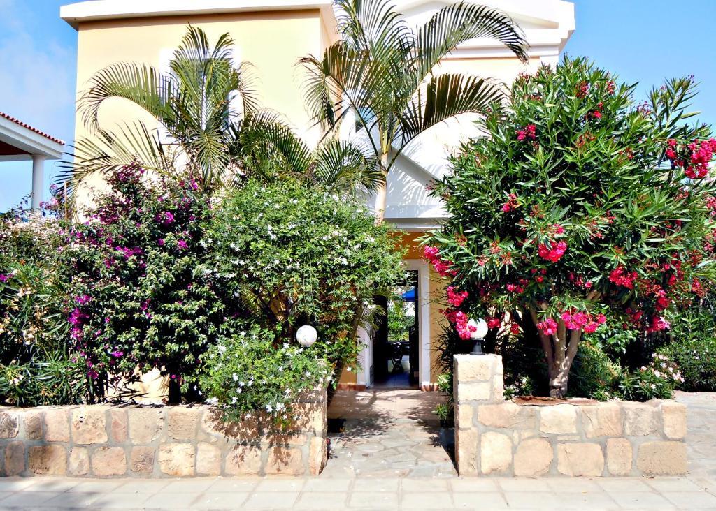 Rododafni Villas Klorakas Room photo